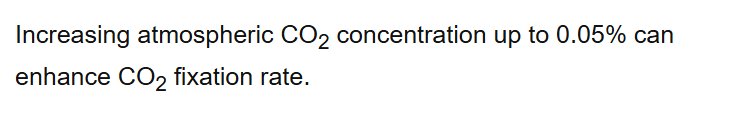 Increasing atmospheric CO2 concentration up to 0.05% can enhance CO2 fixation rate.