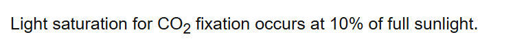 Light saturation for CO2 fixation occurs at 10% of full sunlight.
