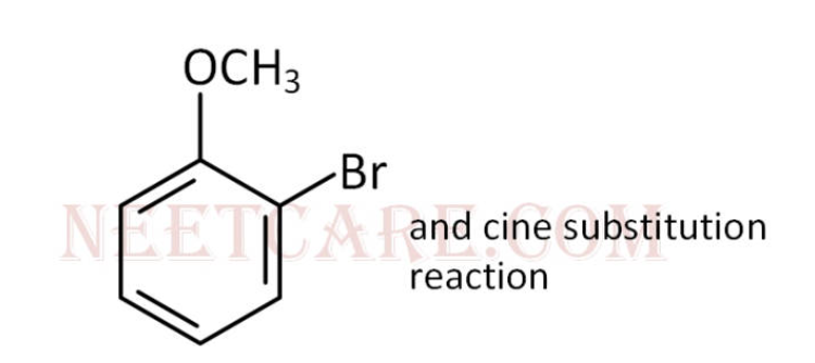 Option B