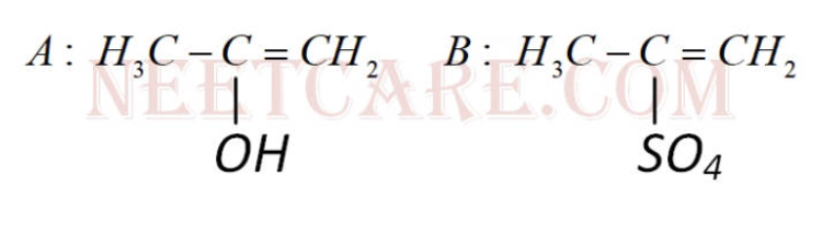 Option A