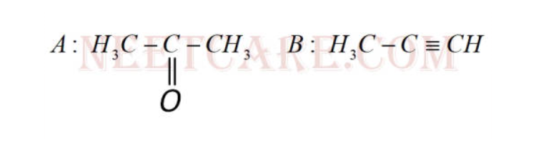 Option B