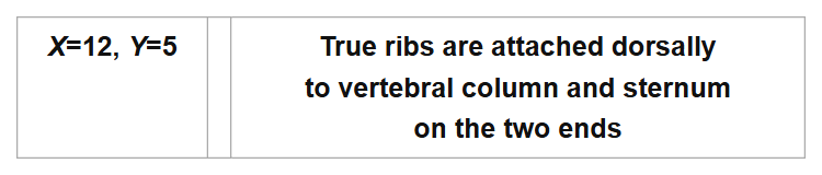 X=12, Y=5
True ribs are attached dorsally
to vertebral column and sternum
on the two ends