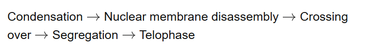 Condensation Nuclear membrane disassembly Crossing over Segregation Telophase