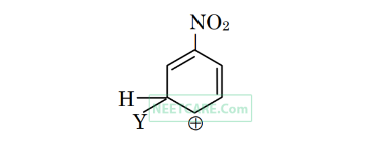 Option C