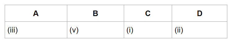 A
B
C
D
(iii)
(v)
(i)
(ii)
