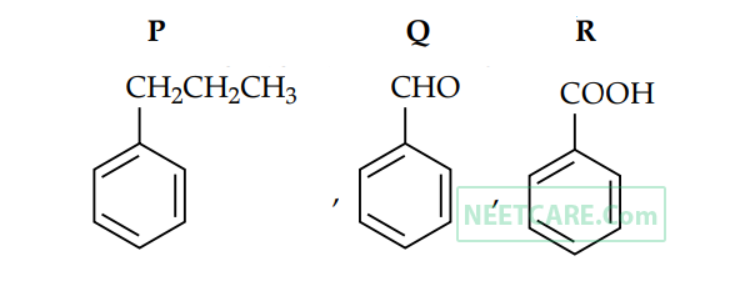 Option B