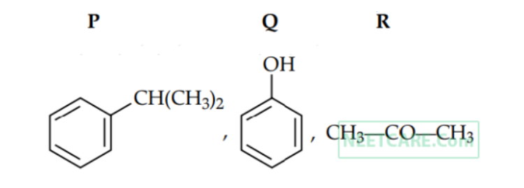 Option D