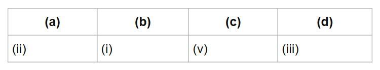 (a)
(b)
(c)
(d)
(ii)
(i)
(v)
(iii)