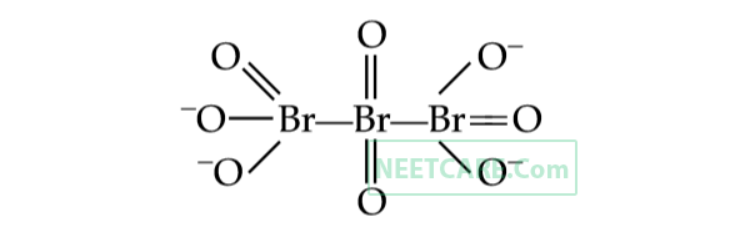 Option B