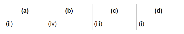 (a)
(b)
(c)
(d)
(ii)
(iv)
(iii)
(i)