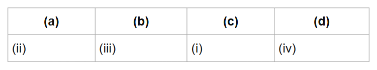 (a)
(b)
(c)
(d)
(ii)
(iii)
(i)
(iv)