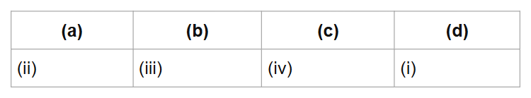 (a)
(b)
(c)
(d)
(ii)
(iii)
(iv)
(i)