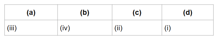 (a)
(b)
(c)
(d)
(iii)
(iv)
(ii)
(i)