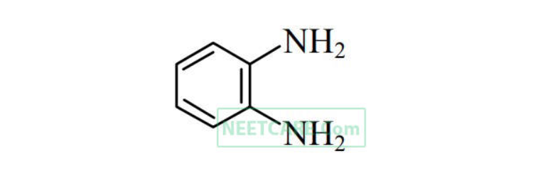 Option B