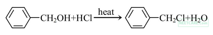 Option B