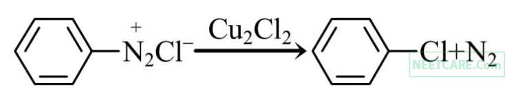 Option C