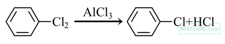 Option D