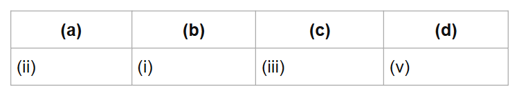 (a)
(b)
(c)
(d)
(ii)
(i)
(iii)
(v)