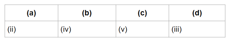 (a)
(b)
(c)
(d)
(ii)
(iv)
(v)
(iii)