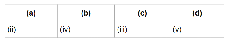 (a)
(b)
(c)
(d)
(ii)
(iv)
(iii)
(v)