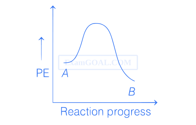 Option B