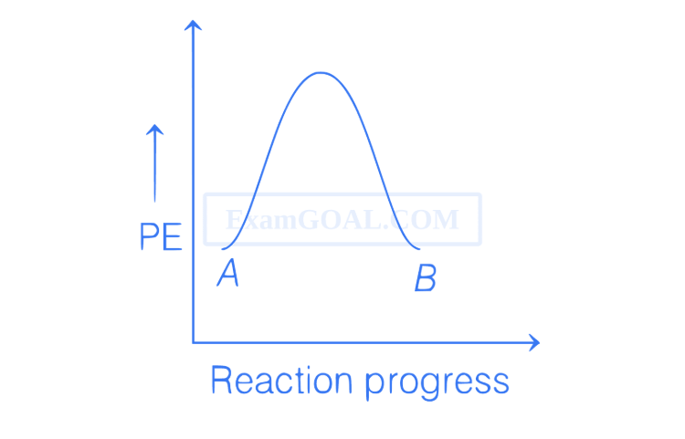 Option C
