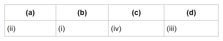 (a)
(b)
(c)
(d)
(ii)
(i)
(iv)
(iii)
