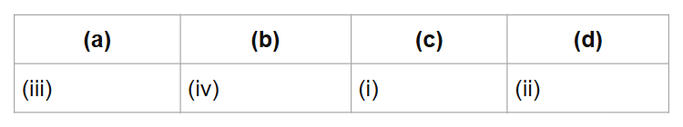 (a)
(b)
(c)
(d)
(iii)
(iv)
(i)
(ii)