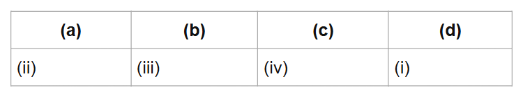 (a)
(b)
(c)
(d)
(ii)
(iii)
(iv)
(i)