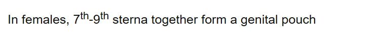 In females, 7th-9th sterna together form a genital pouch