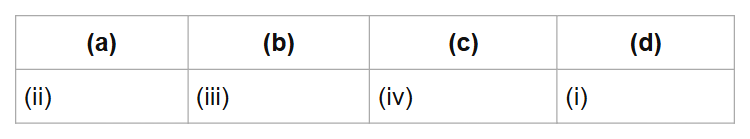 (a)
(b)
(c)
(d)
(ii)
(iii)
(iv)
(i)