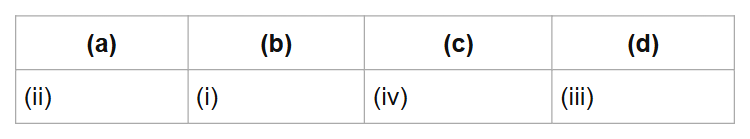 (a)
(b)
(c)
(d)
(ii)
(i)
(iv)
(iii)