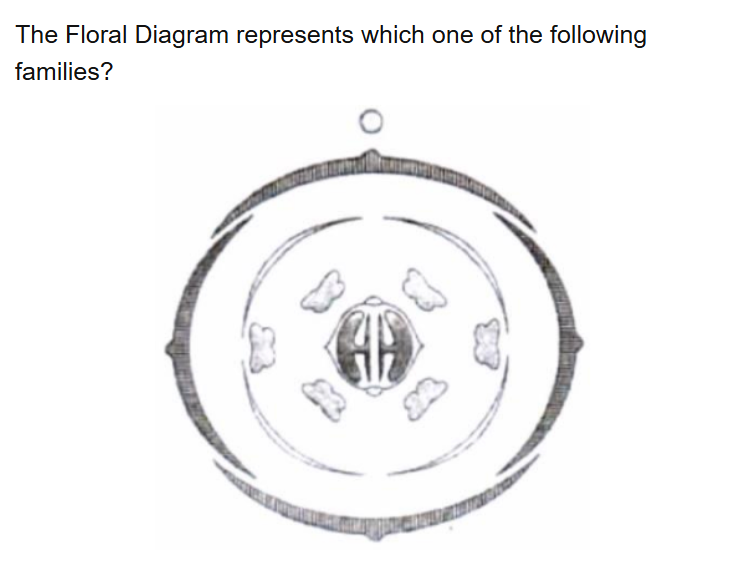 See the original NEET 2022 Phase 2 Biology question below.