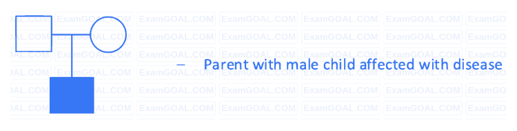 Option A