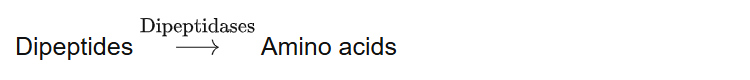 Dipeptides Amino acids
