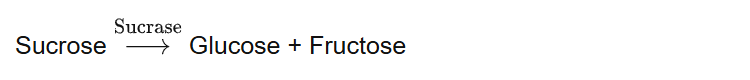Sucrose Glucose + Fructose