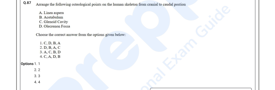 Read the question and choices in the excerpt. Choose A/B/C/D for the first/second/third/fourth option shown.