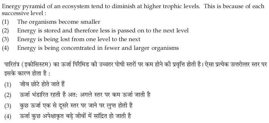 Read the question and choices in the excerpt. Choose A/B/C/D for the first/second/third/fourth option shown.