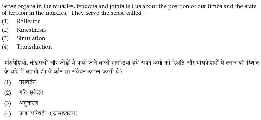 Read the question and choices in the excerpt. Choose A/B/C/D for the first/second/third/fourth option shown.