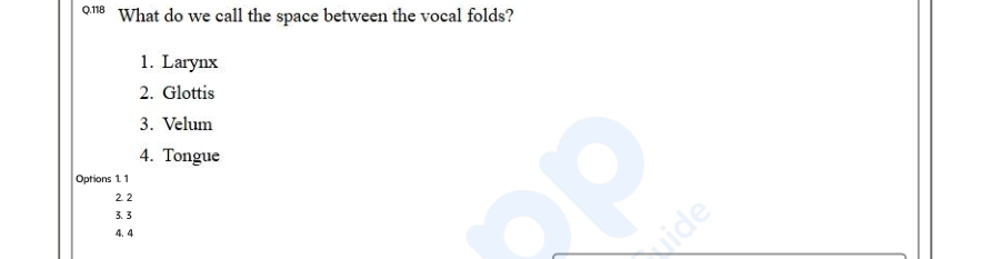 Read the question and choices in the excerpt. Choose A/B/C/D for the first/second/third/fourth option shown.