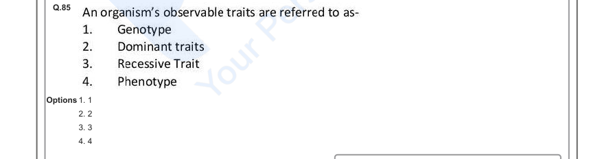 Read the question and choices in the excerpt. Choose A/B/C/D for the first/second/third/fourth option shown.