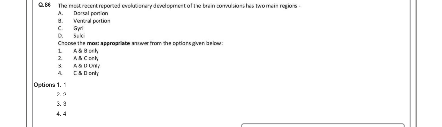 Read the question and choices in the excerpt. Choose A/B/C/D for the first/second/third/fourth option shown.