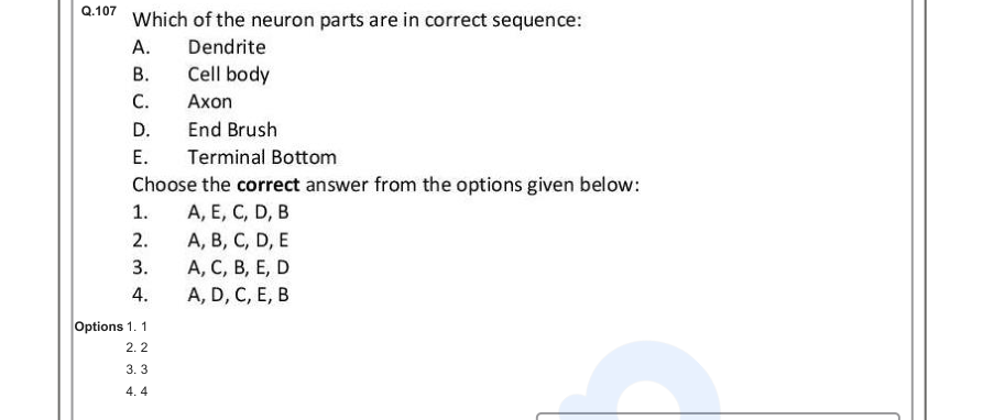Read the question and choices in the excerpt. Choose A/B/C/D for the first/second/third/fourth option shown.